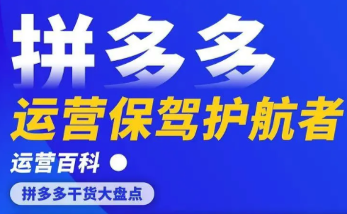 拼多多代運(yùn)營(yíng)